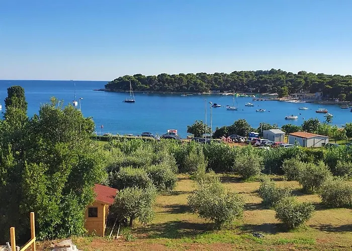 Fragrances Of Istria - The Olives - On The Sea Of Stoia