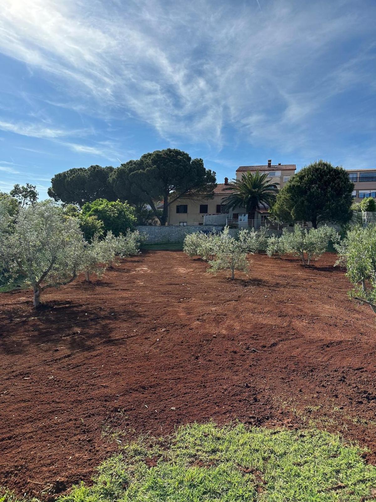 Fragrances Of Istria - The Olives - On The Sea Of Stoia Apartman Pula