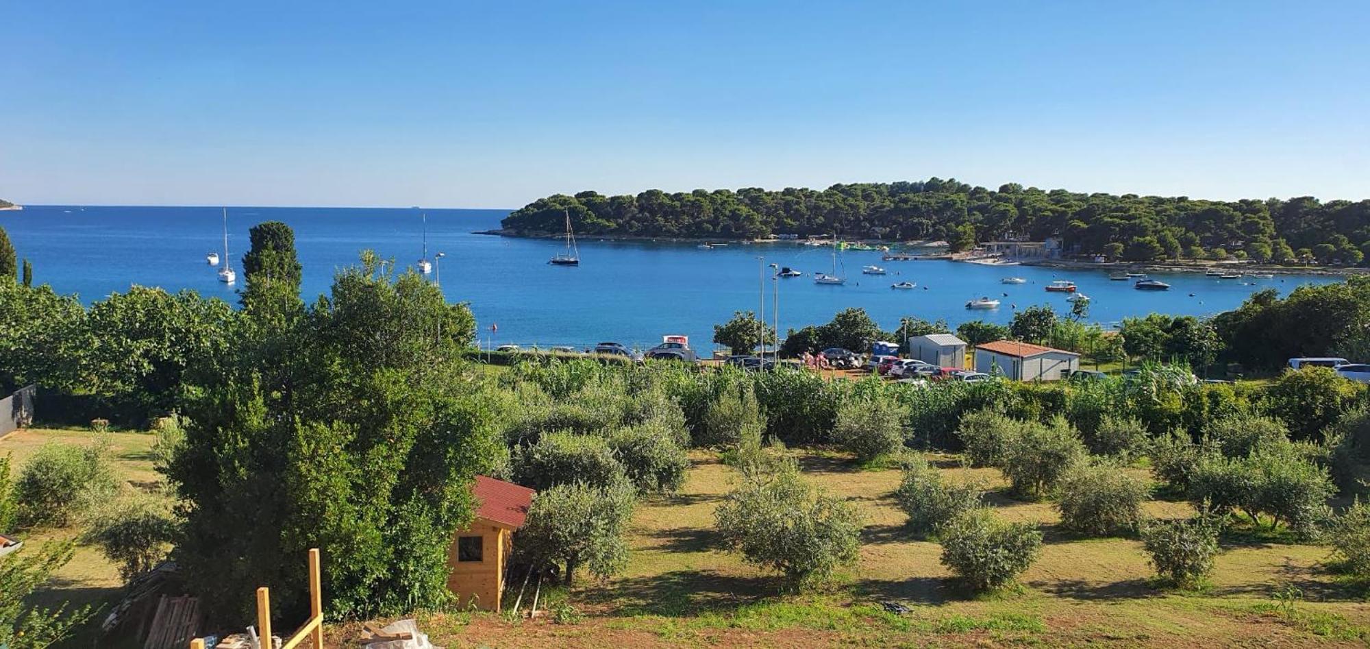 Fragrances Of Istria - The Olives - On The Sea Of Stoia
